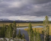 IMG 5974 Calm Yellowstone River